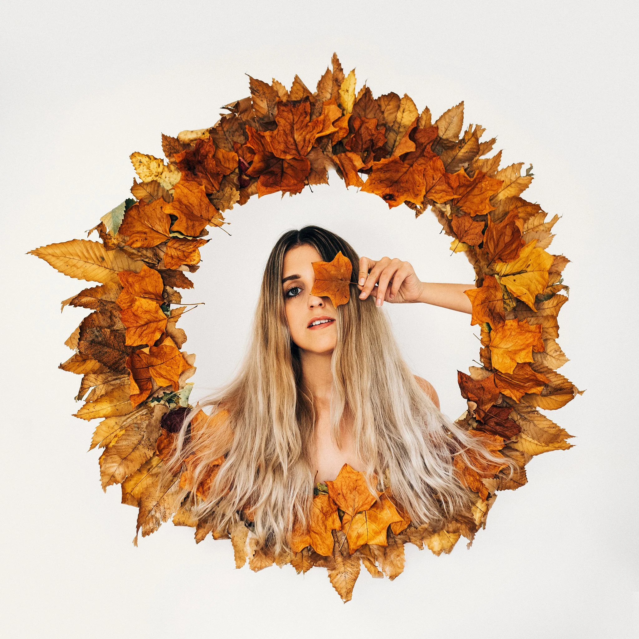 Transition, 2018.jpeg