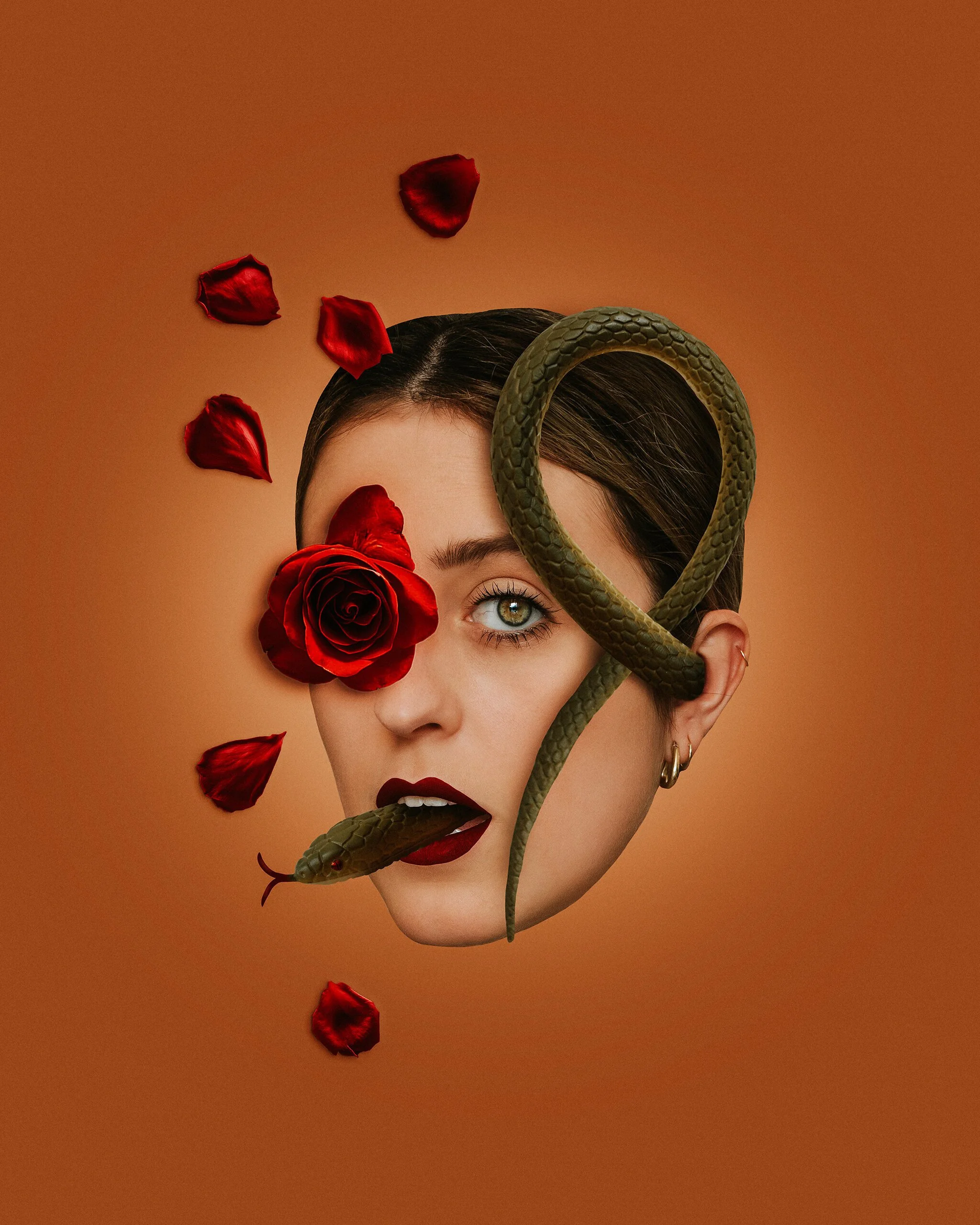 the snake, 2019.jpeg