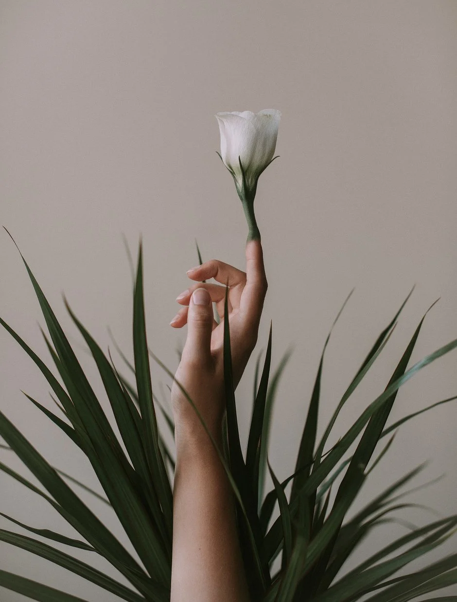 blossoming, 2017.jpeg