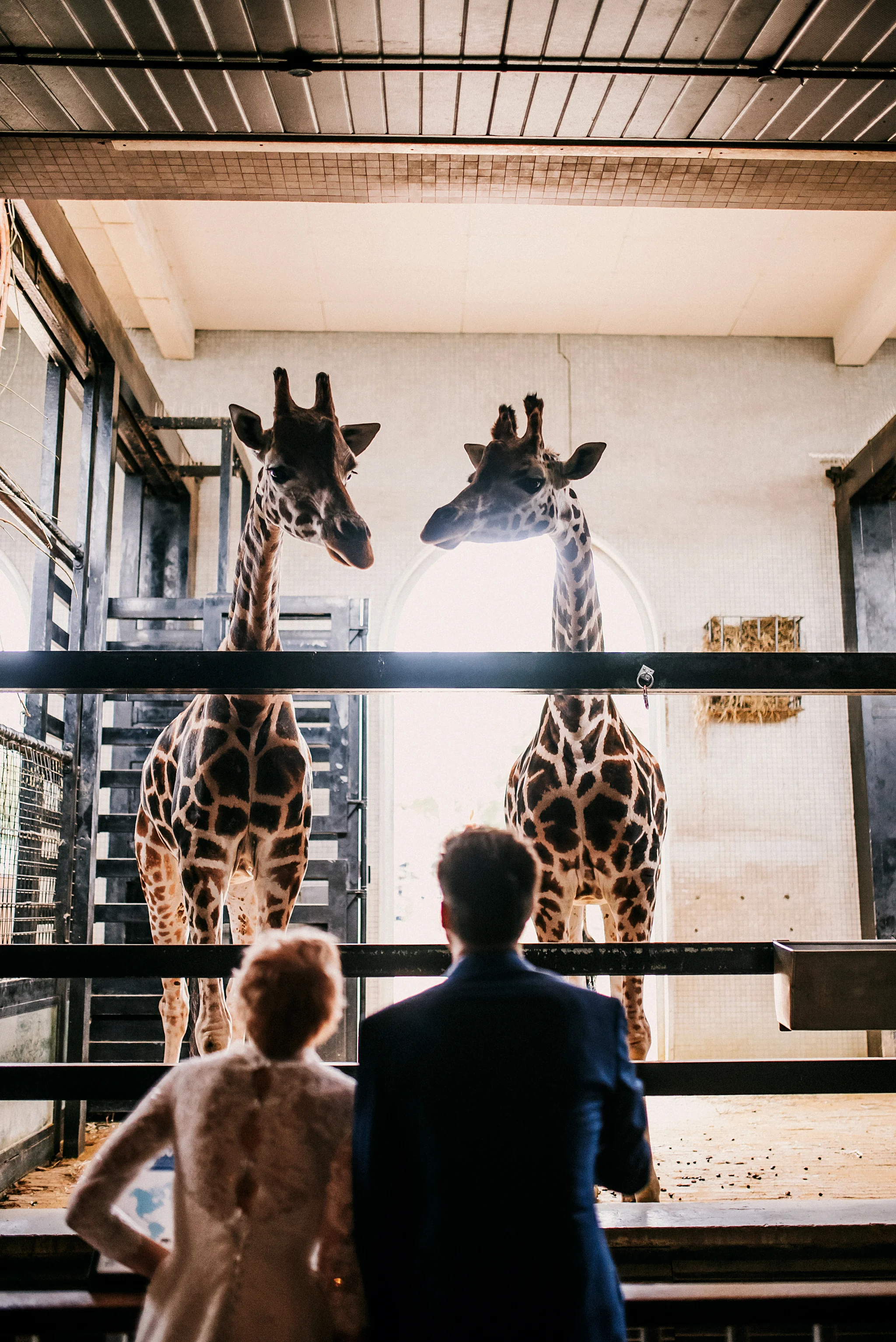 Fran &amp; Neal - London, UK