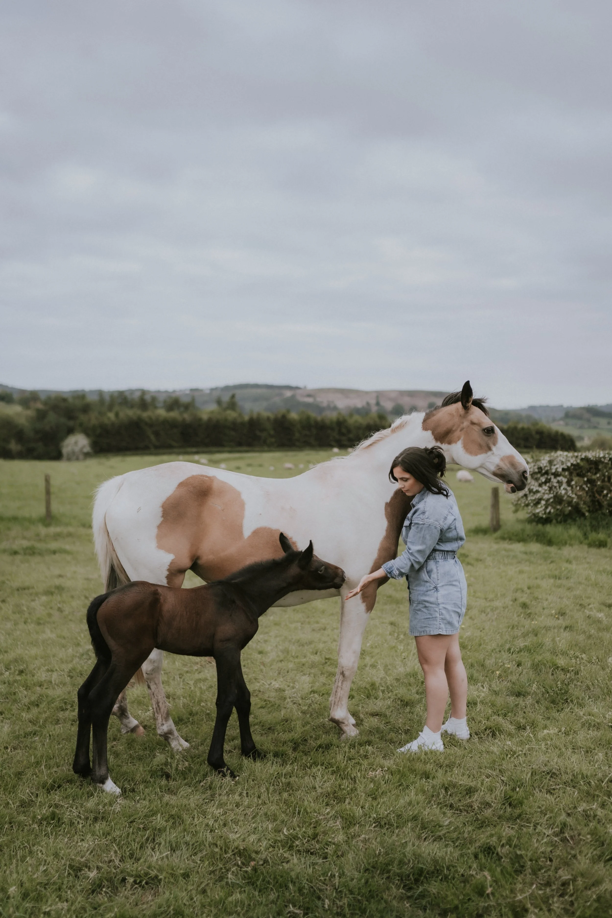 Charlotte, Nala &amp; Wolfe