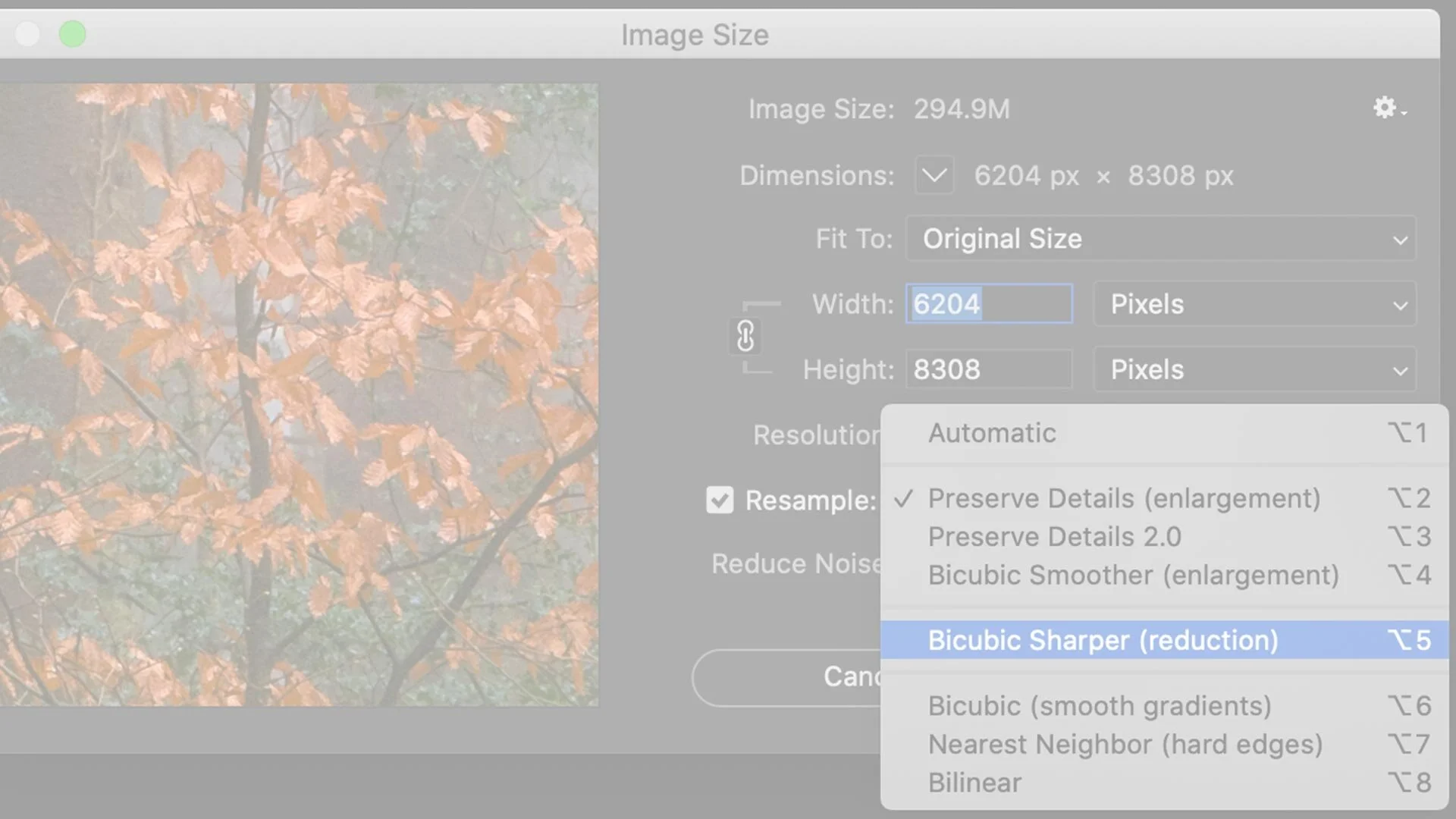 The BEST Image Settings for Facebook