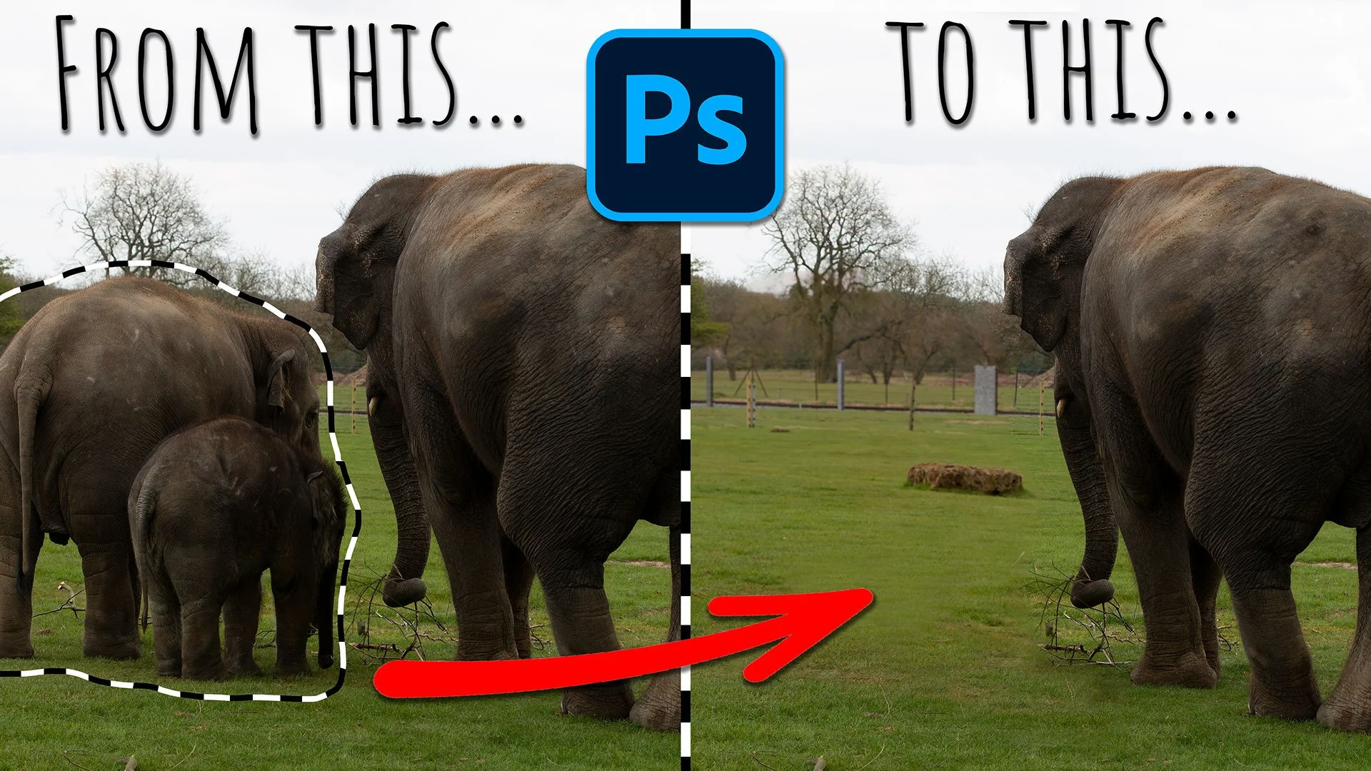 💥 NEW FEATURE in Photoshop: REMOVING OBJECTS just got EASIER!!!