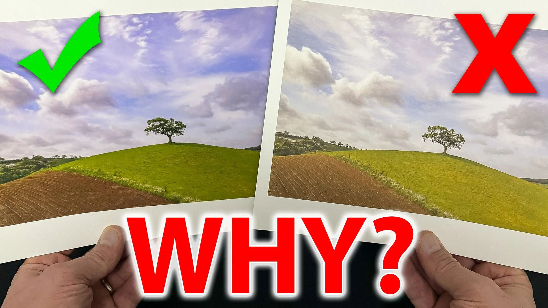 LIVE Broadcast: PRINTING PROBLEMS | Epson + Canon VERSUS Lightroom + Photoshop