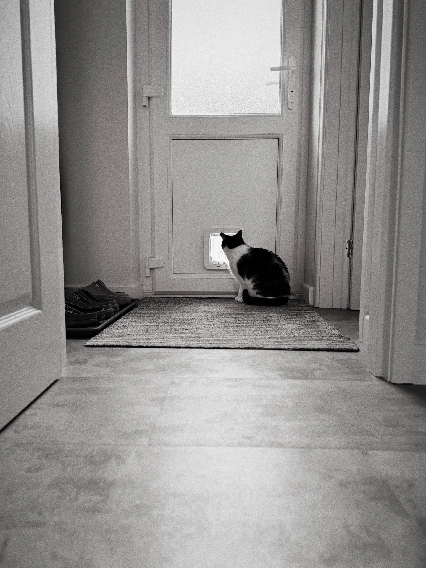 Tell me it&rsquo;s raining, without telling me it&rsquo;s raining 😿