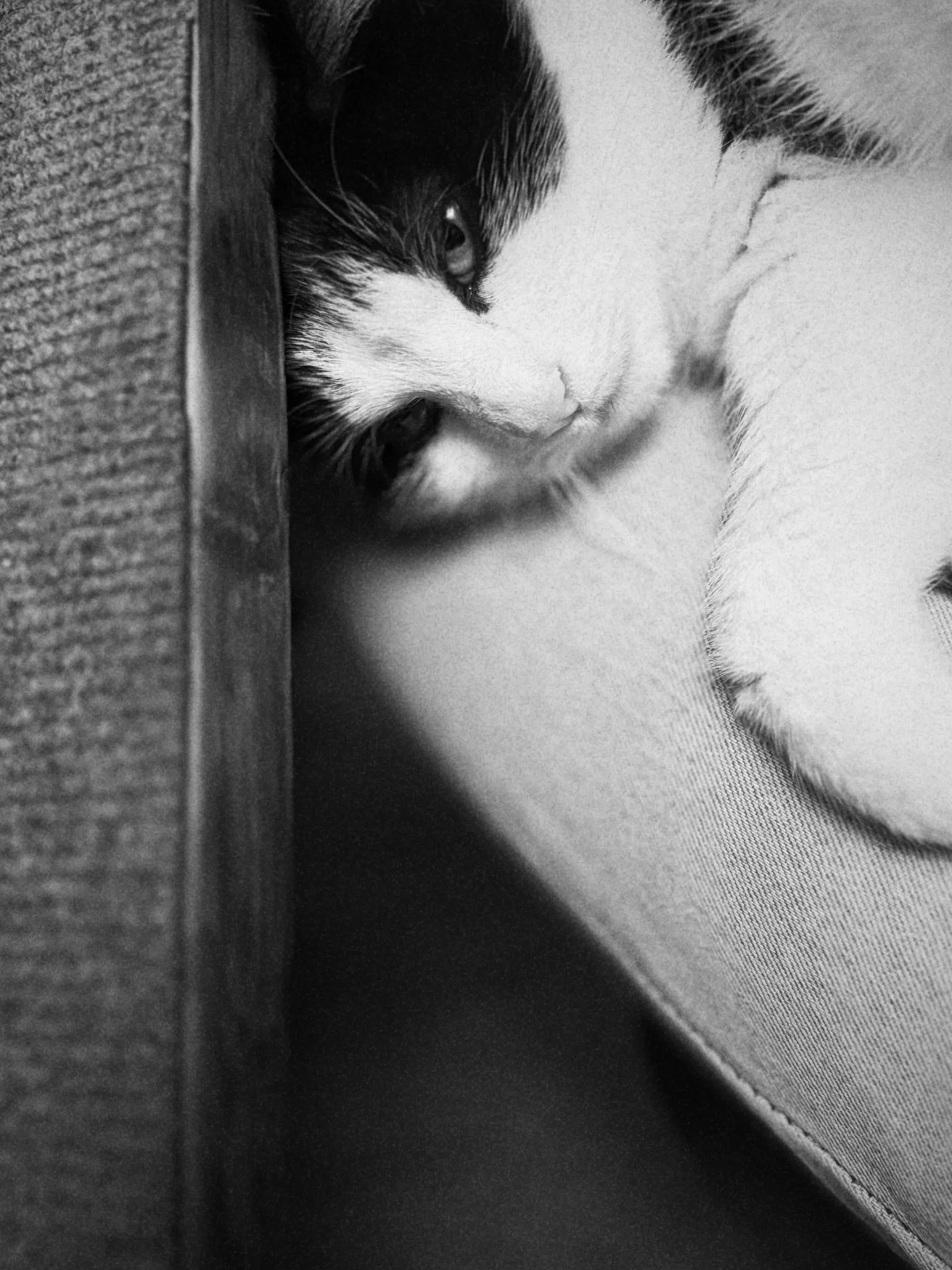 What you don&rsquo;t see &hellip; The view of my lap under my desk 😍