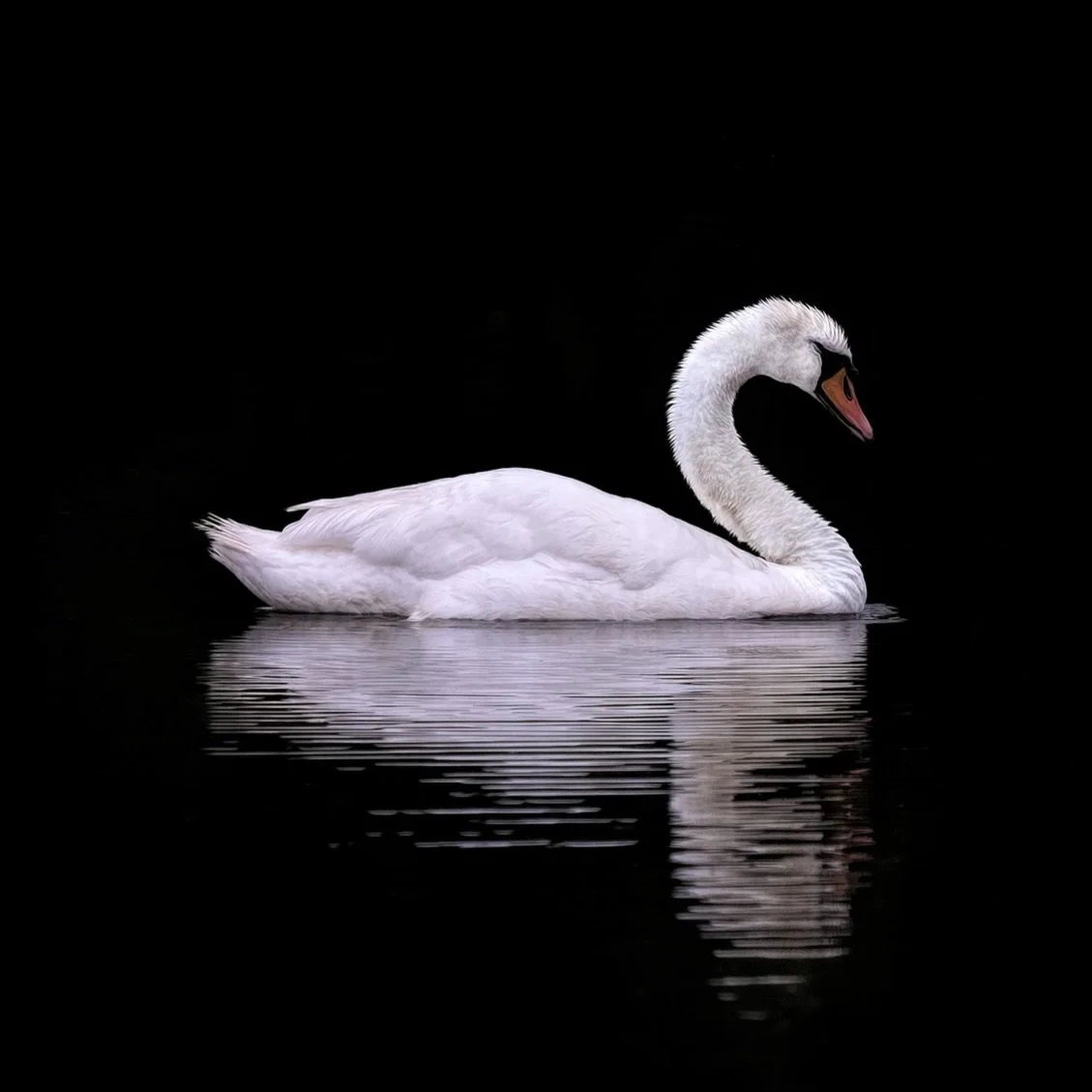 Crazy but I actually forgot I used to have a Fuji camera 12 years ago &hellip; the X-T1. I wasn&rsquo;t easy for the change from my main camera at the time but looking back I&rsquo;m really liking what I did with it.