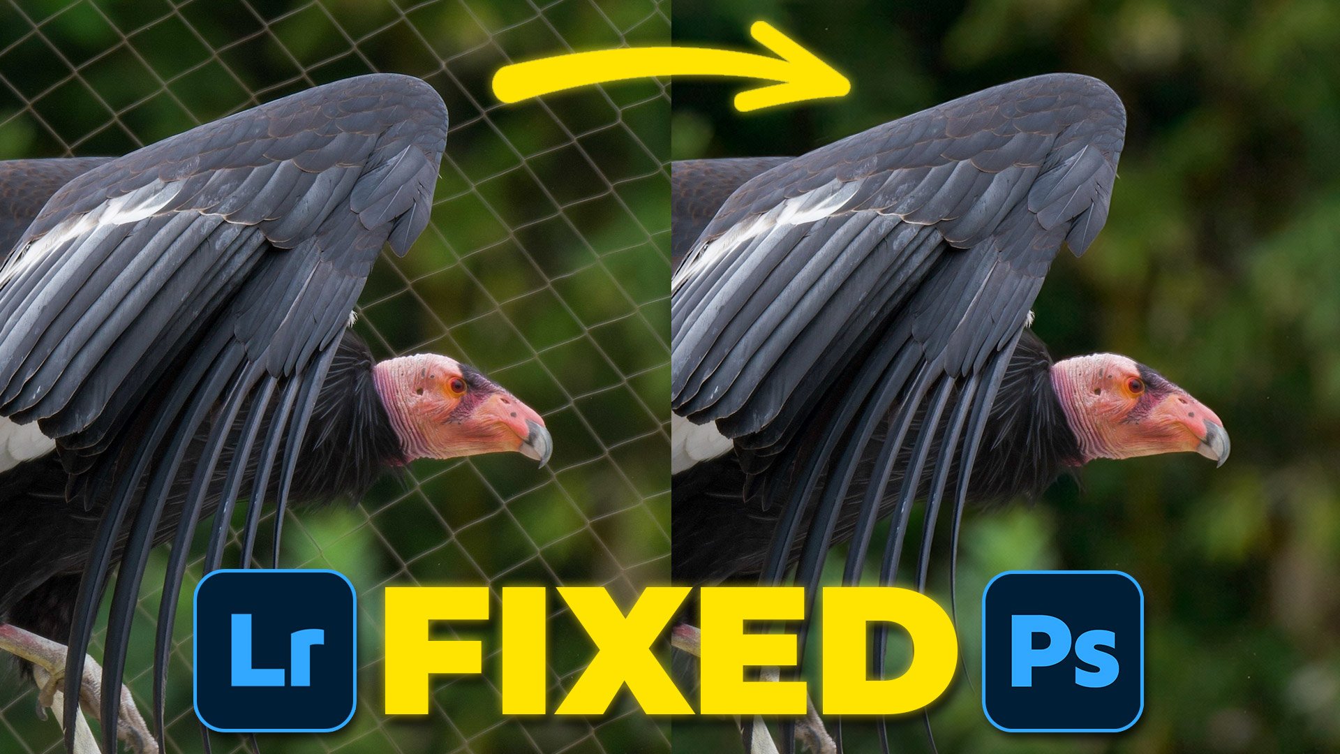 Fix IMPOSSIBLE Backgrounds Instantly ( Lightroom + Photoshop )