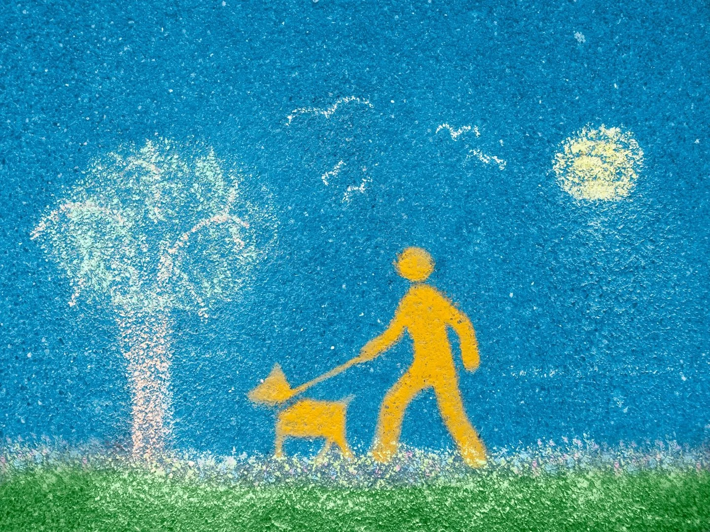 The latest challenge in the Photography Community is &ldquo;Flat Lay&rdquo; &hellip; t&rsquo;s the taking part that counts right?!? On the seafront where we live, there are official yellow markings on the footway instructing that dogs must be on lead