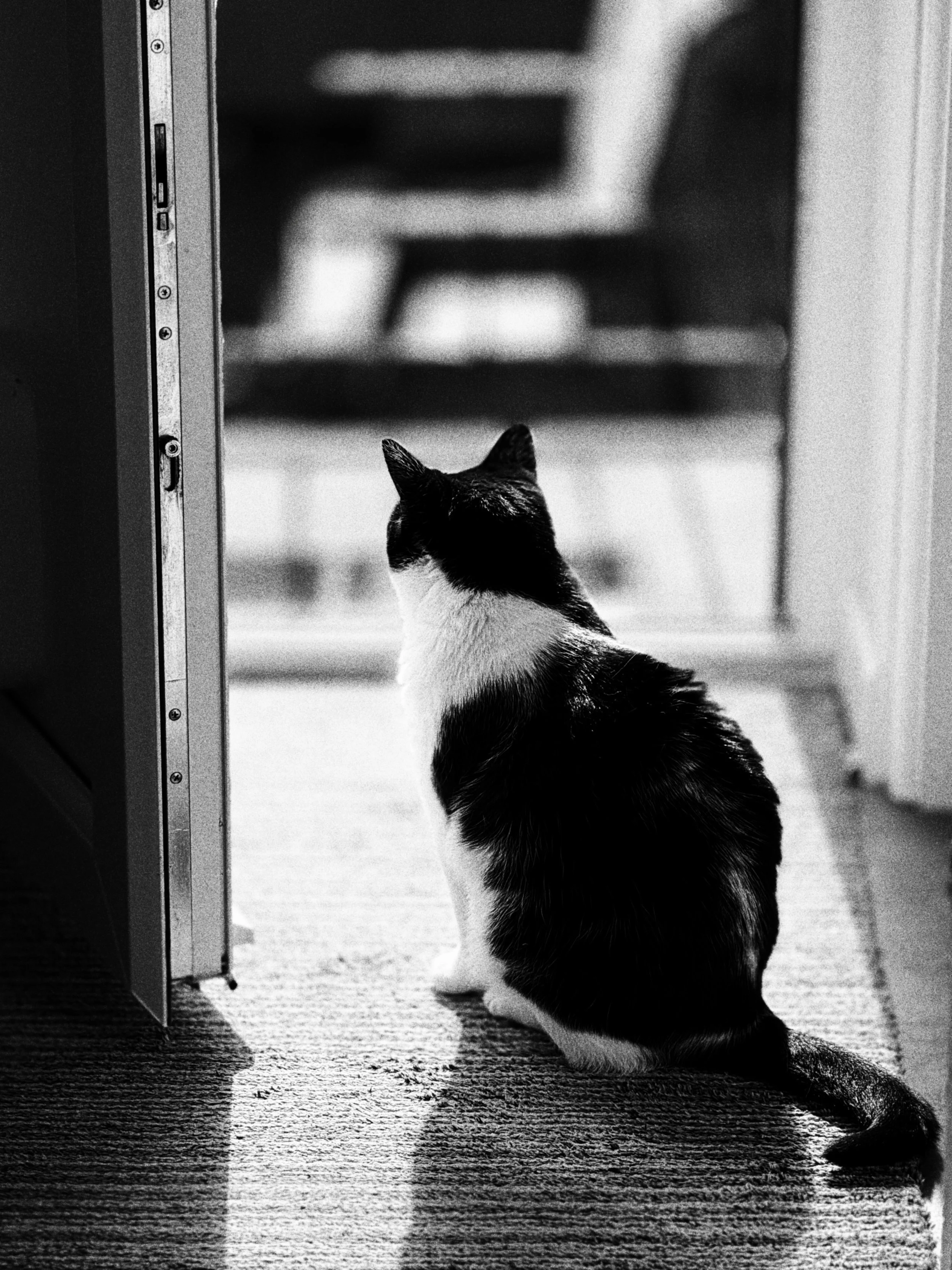 Every morning it&rsquo;s our little routine, our tradition. Up early, make coffee in my @townmillbakery mug, and sit outside together watching the day wake up. It&rsquo;s the simple things that are special; seeing an animal you love and take care of,