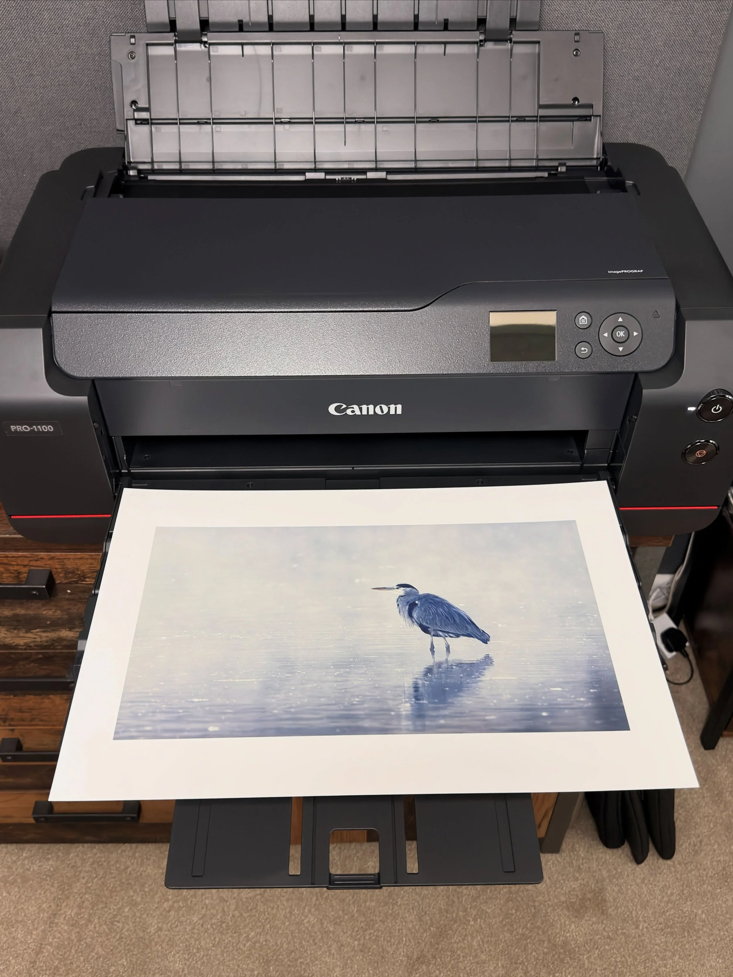 Well, my first week ever trying wildlife photography; a VERY different discipline to portraits, but I&rsquo;m loving it. 

Very happy to end the week with this print too, from yesterday morning at the local reservoir. 

Printed on my go-to &hellip; N