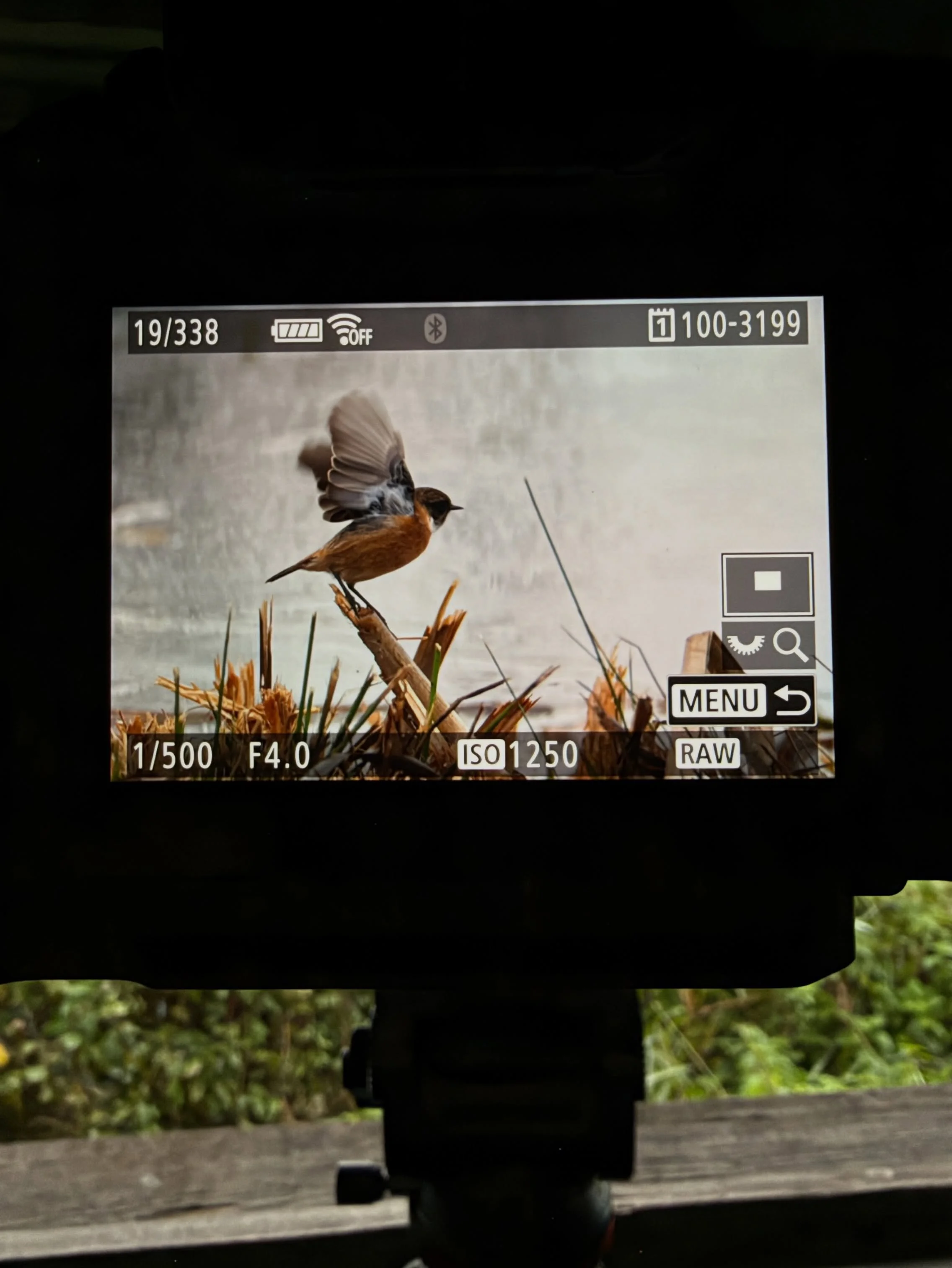 Back at it again this morning 😃
@canonuk