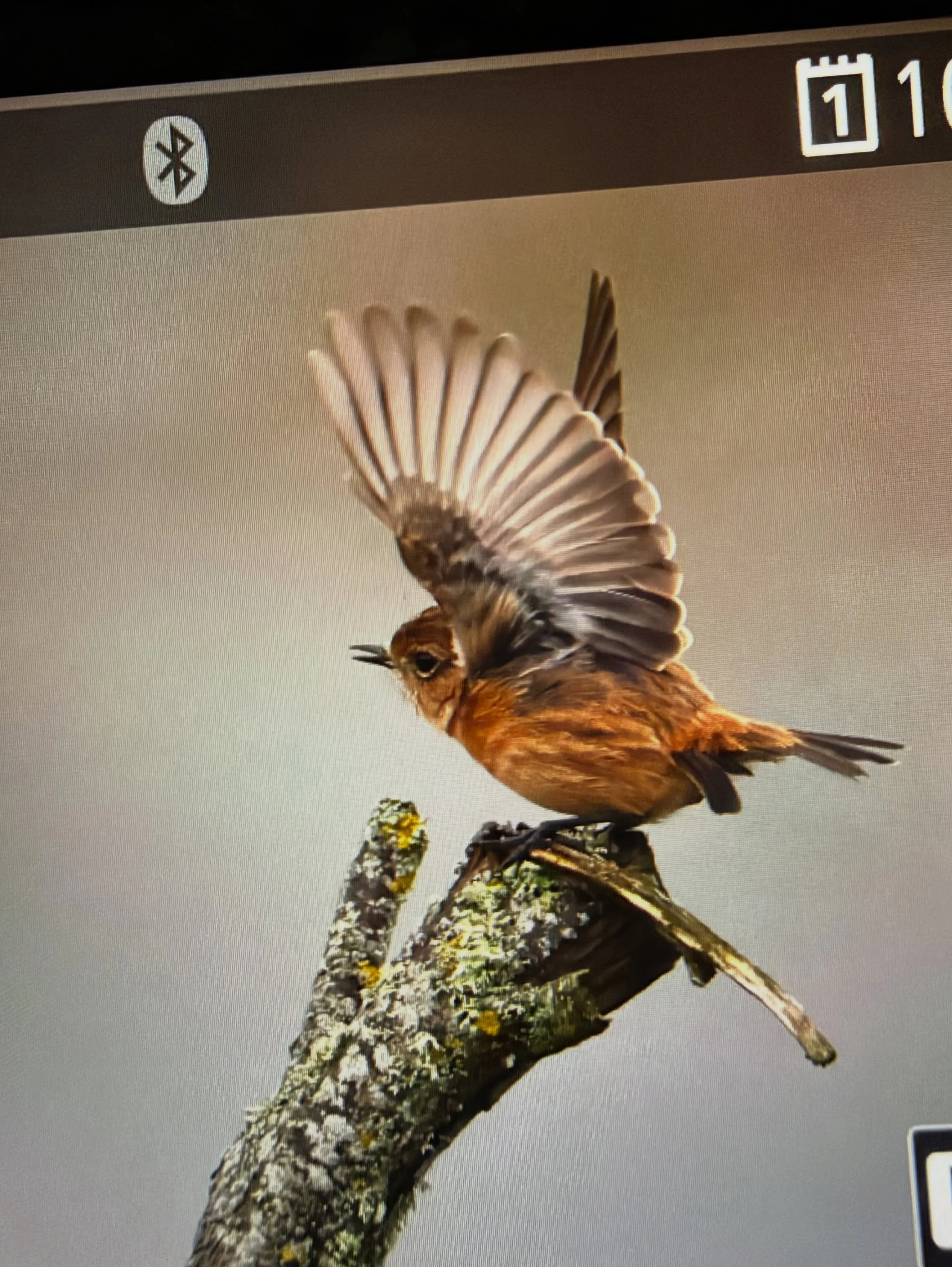 Soooo looking forward to looking through images from today once I get back home 😃

#canon