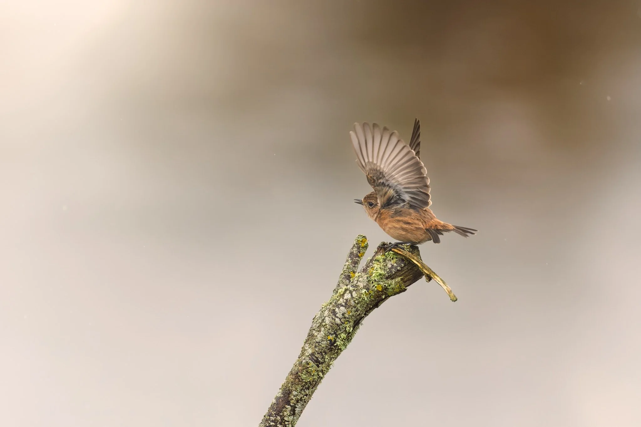 Yesterday I spent the day hanging out with my friend @andyh_pics who had driven to the South West for a couple of days.

Weather was changeable with light rain throughout the morning and into the early afternoon, and different to what had been expect