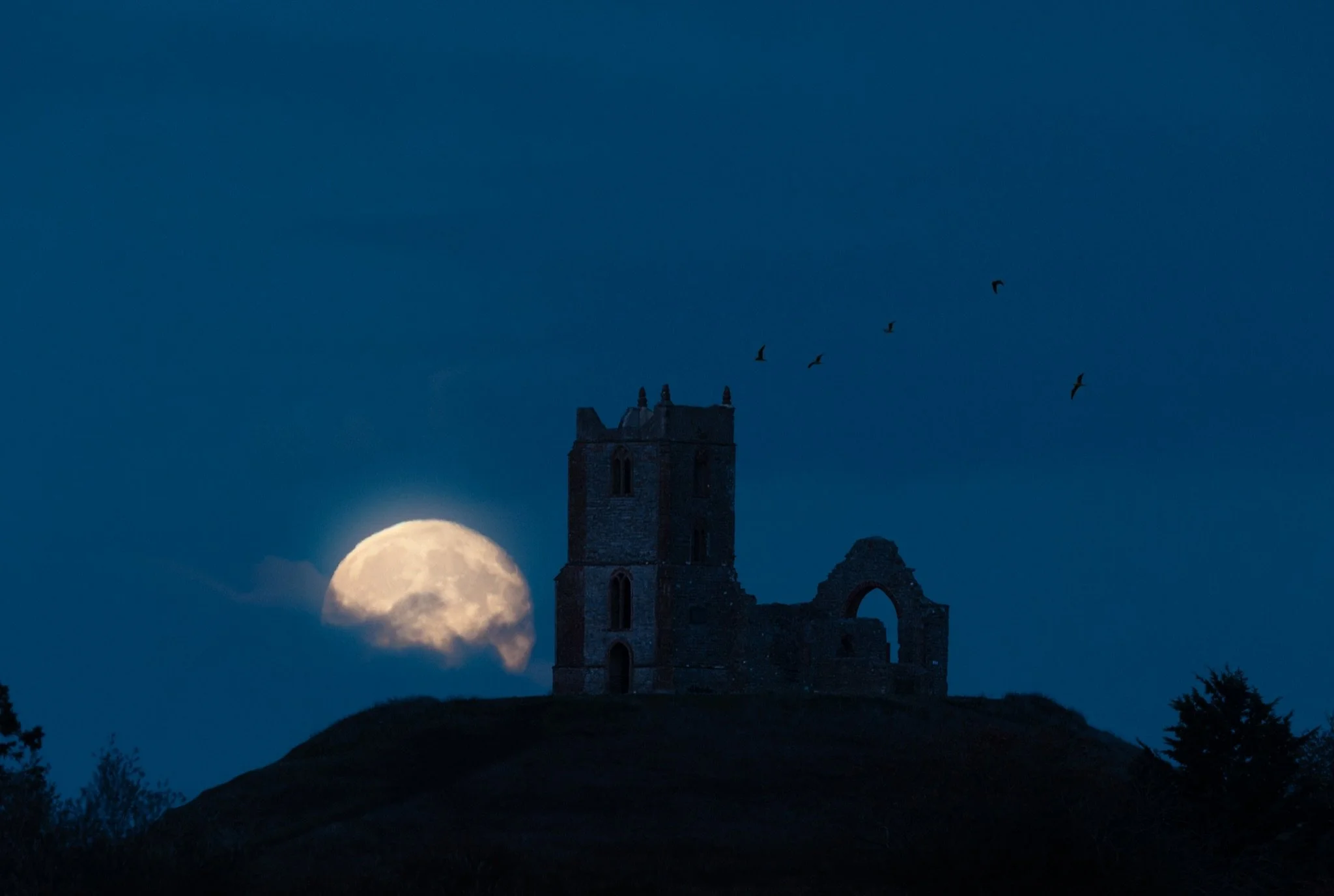 GOT IT!!! 💥
What an AMAZING evening with my mate @benkapurphoto photographing my first Moon Rise. Never thought it could be so exhilarating 😍

Canon R5 Mark 2
Canon EF 500mm f/4 III with 1.4x Teleconverter

1/125 sec
F/5.6
ISO 2500

@canonuk