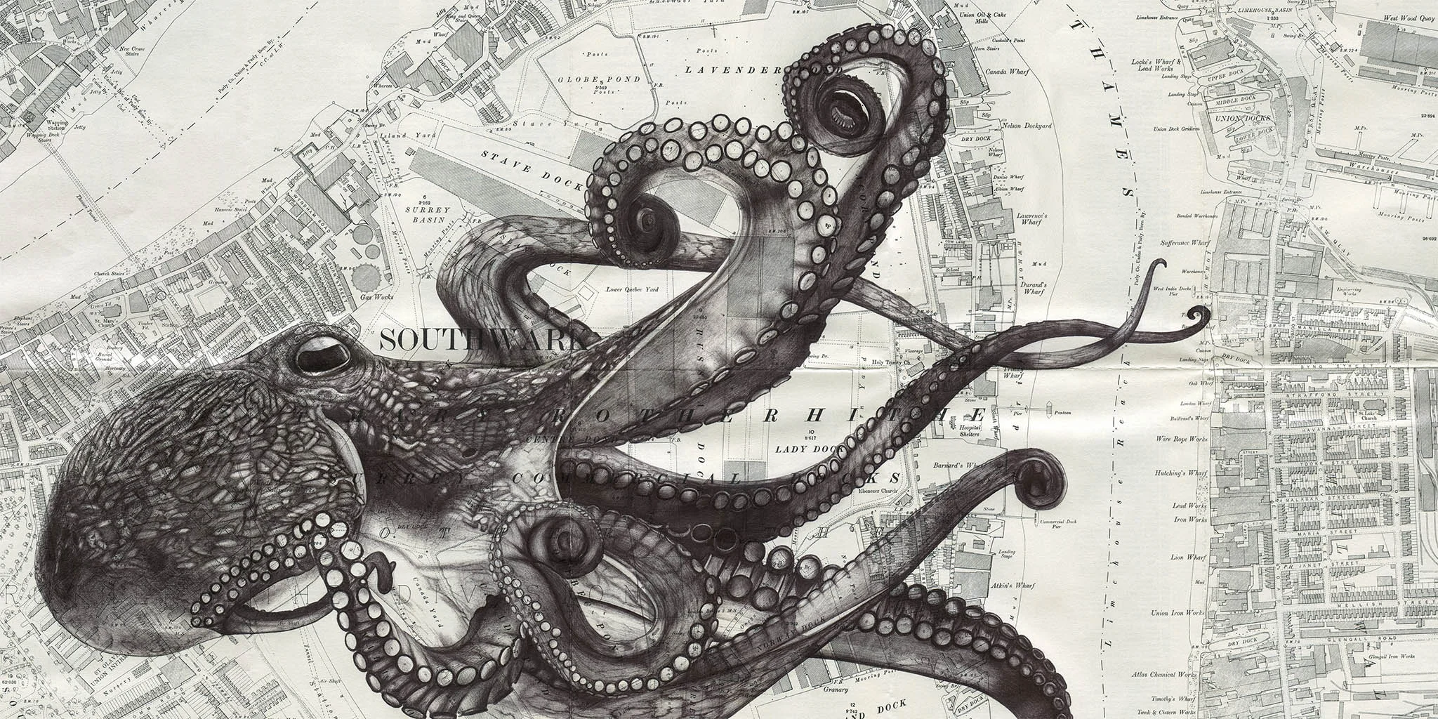 Southwark Octopus