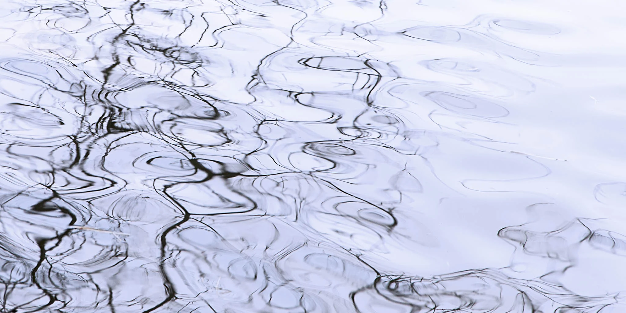 Reflections