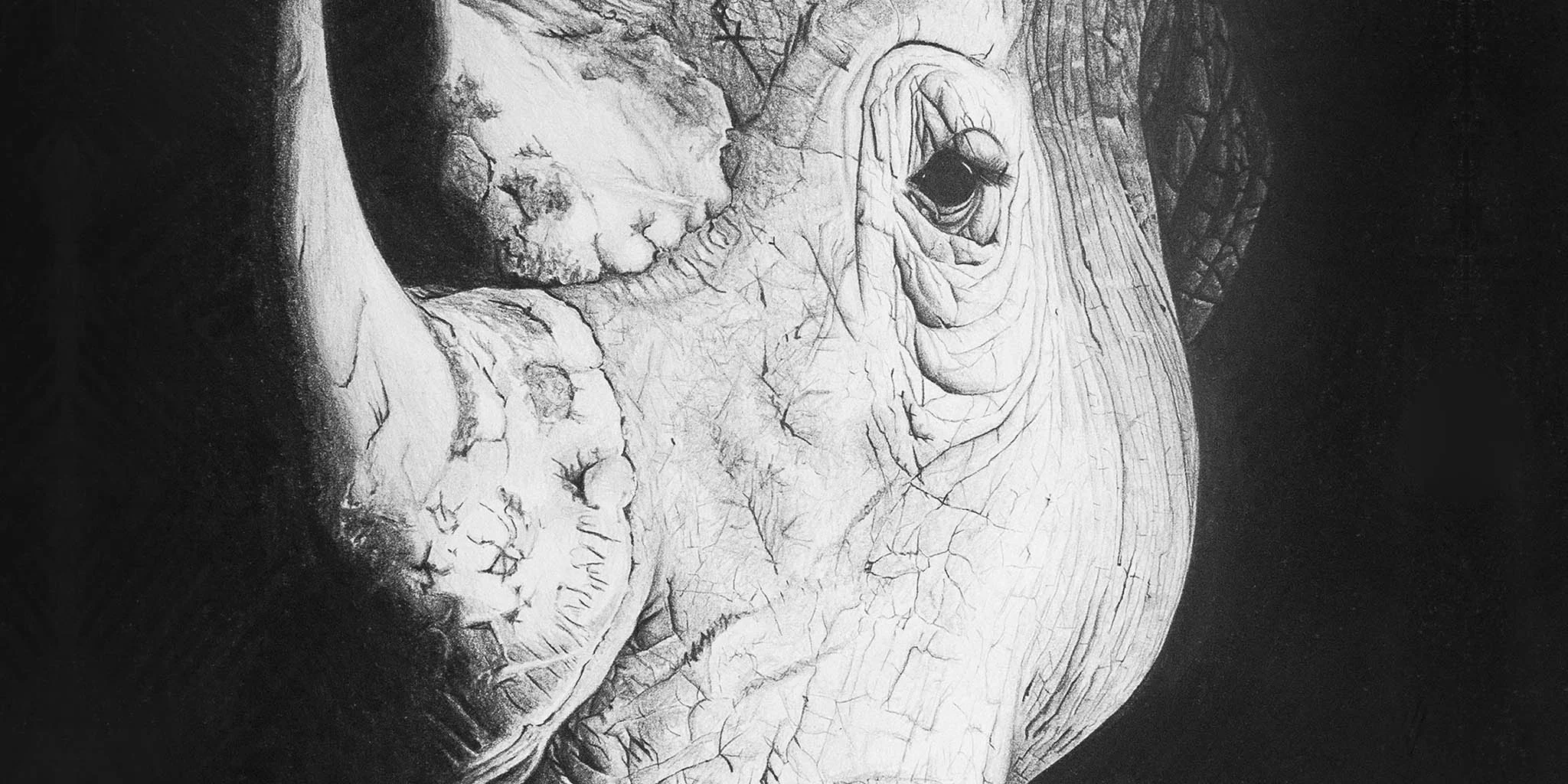 Rhino Spotlight
