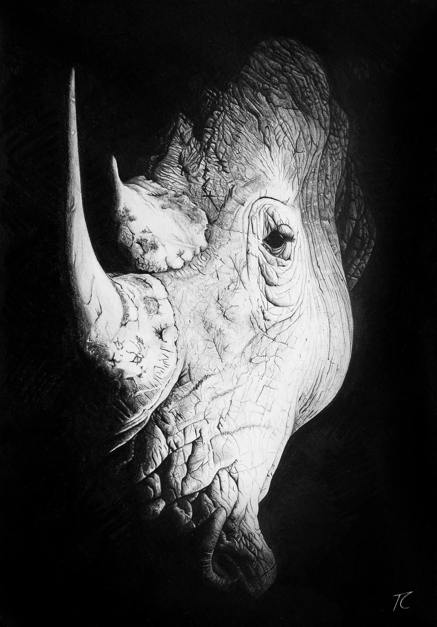 Rhino Spotlight