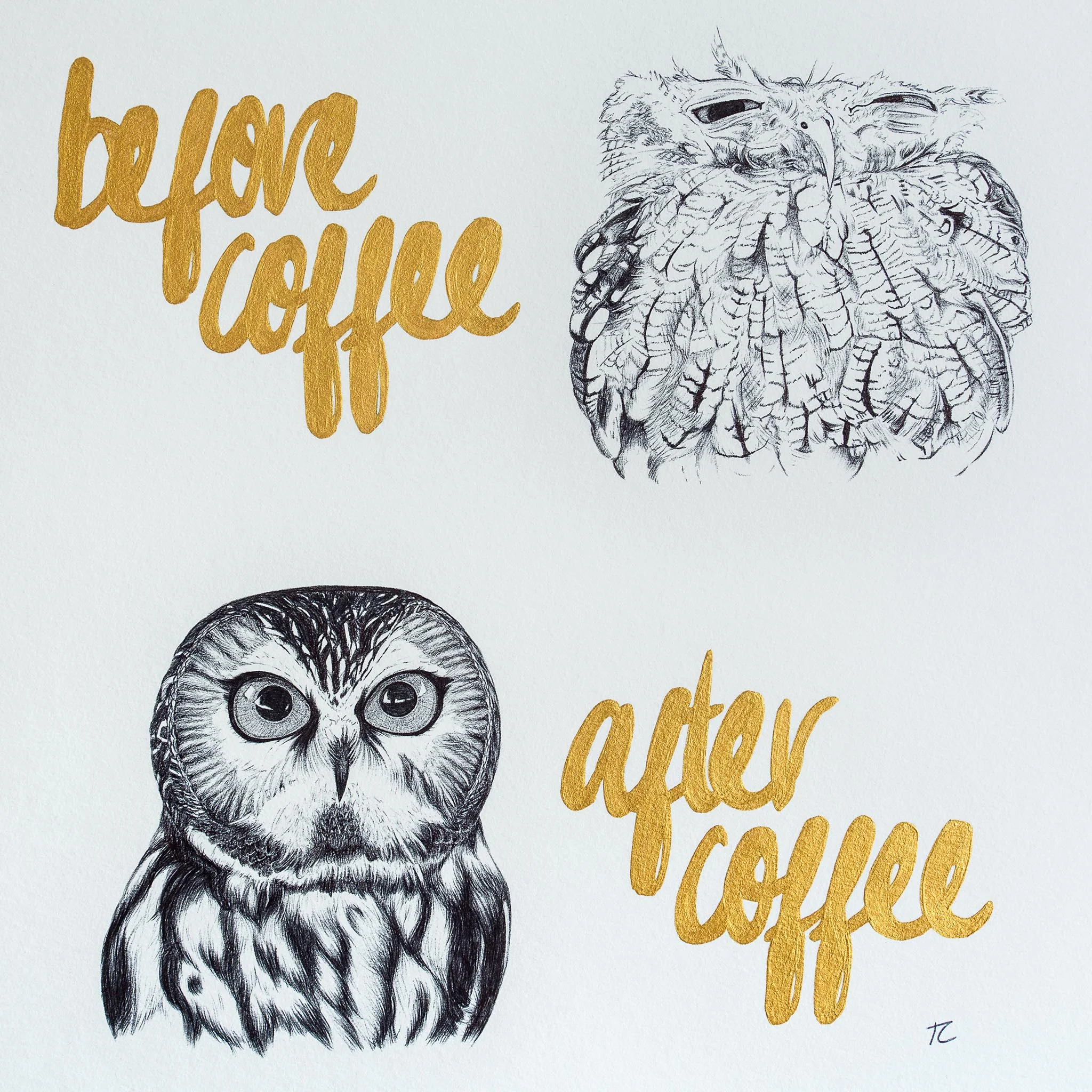 Coffee Owls