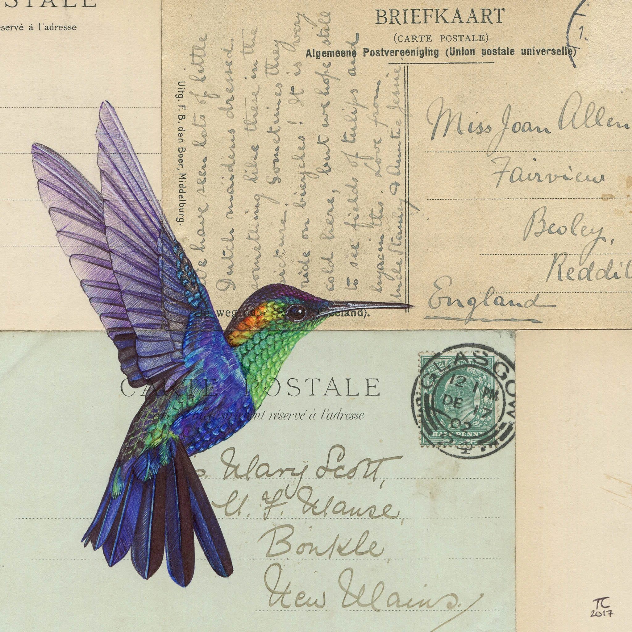 Hummingbird IV