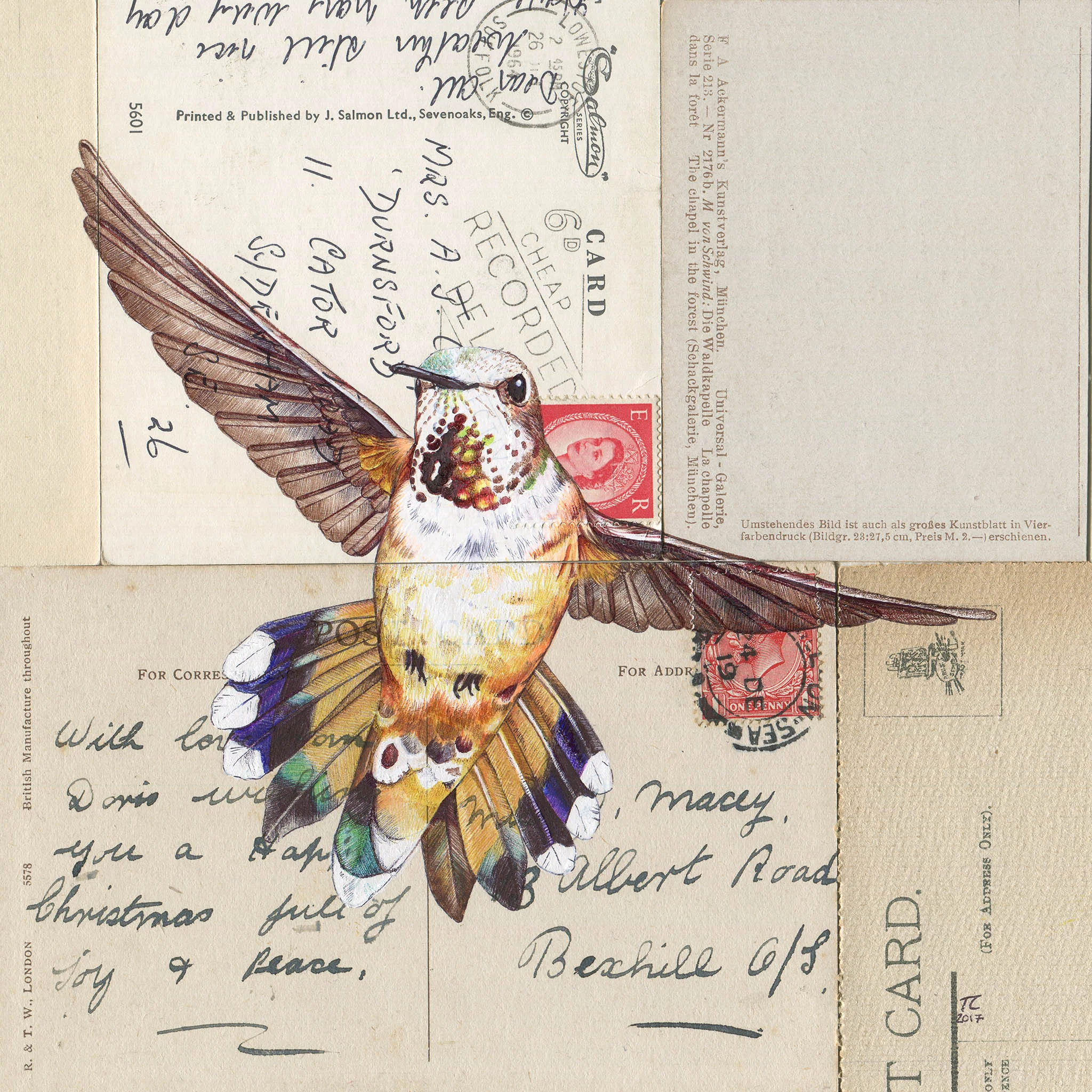 Hummingbird II