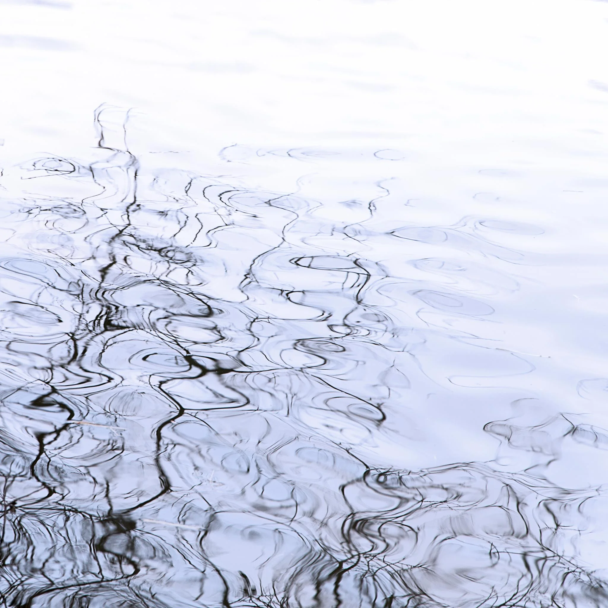 Reflections