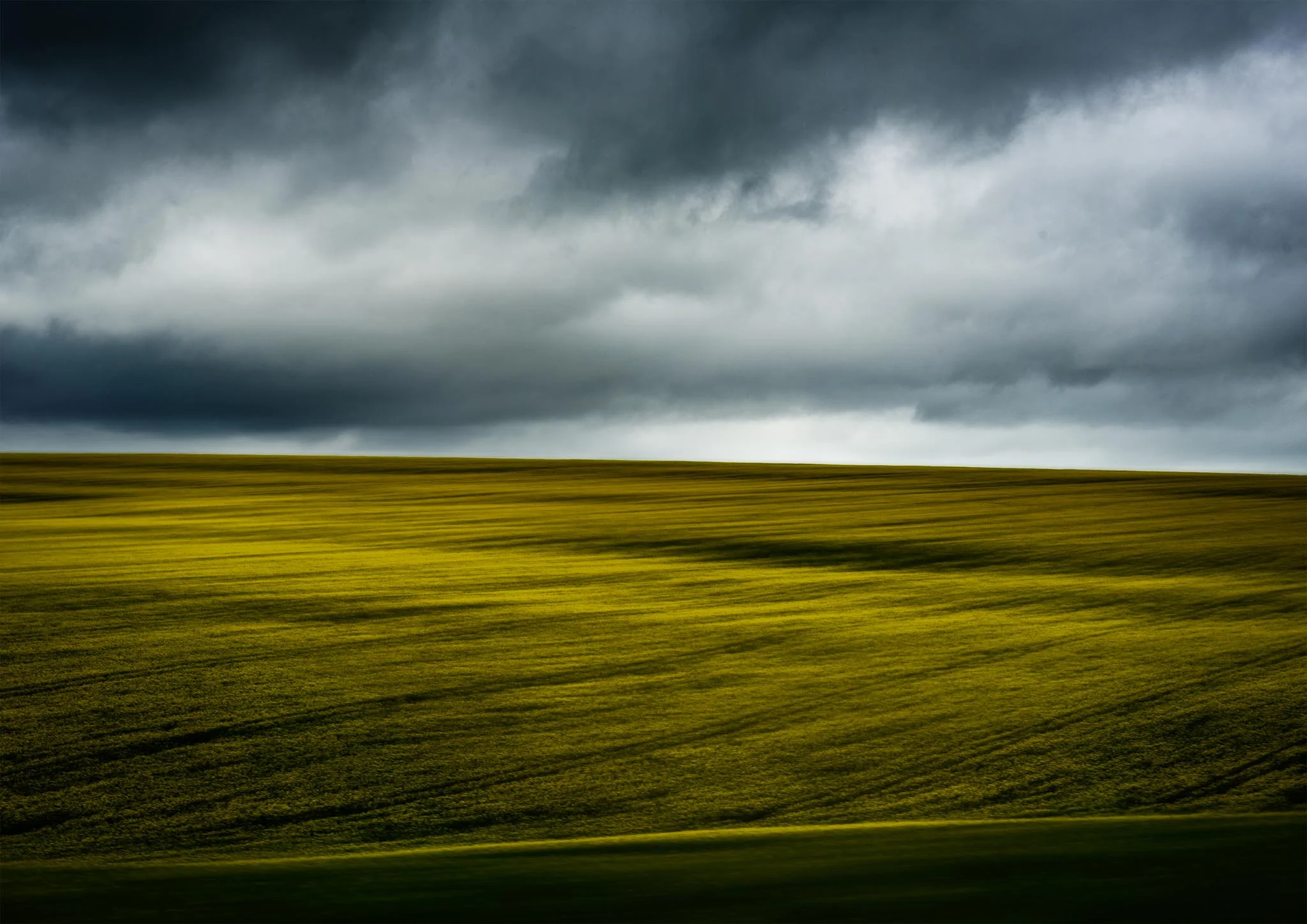 Fields of Gold