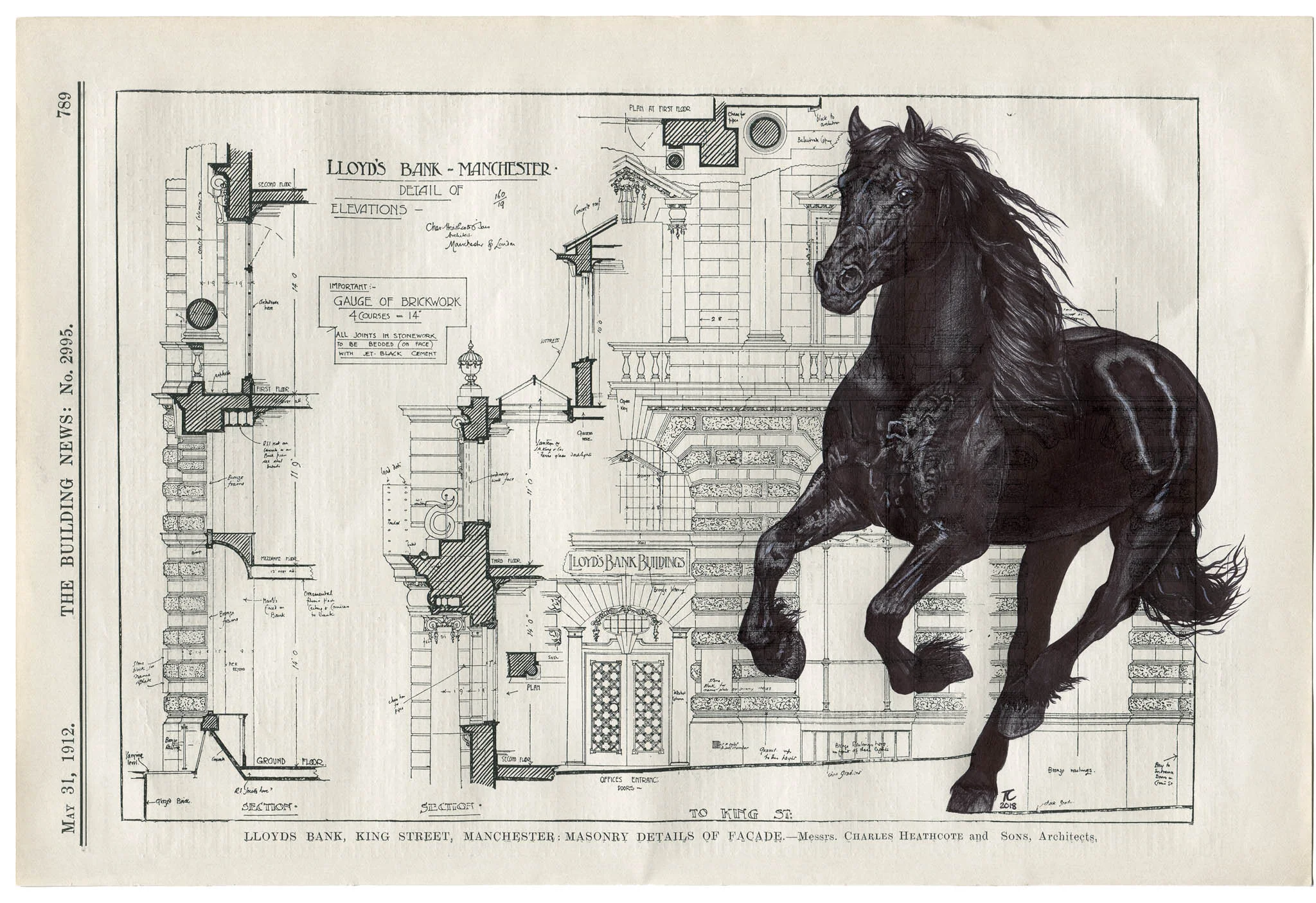 Black Horse