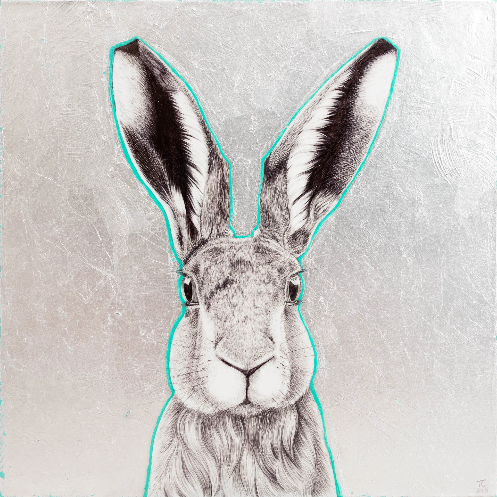 Teal Hare