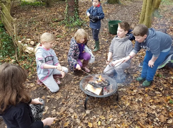 NATURAL-PLAY-2017-12-02 11.39.54.jpg