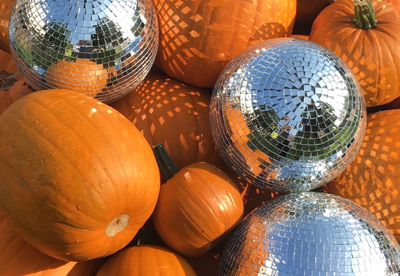HAWARDEN-ESTATE-PUMPKINS-FullSizeRender.jpg
