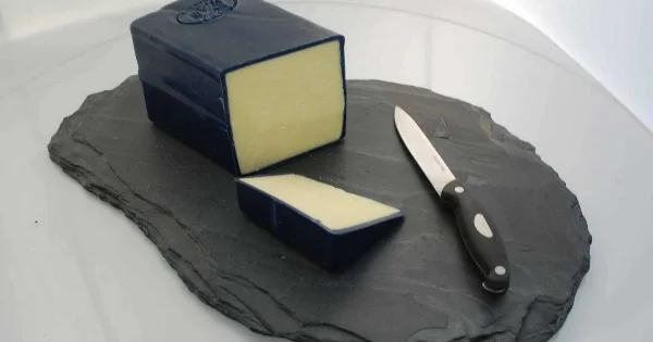 cheese-web.jpg