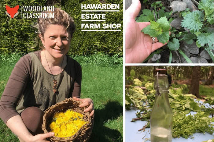 Copy-of-weeds-for-wellbeing-event-thumbnail-hawarden-min.jpg