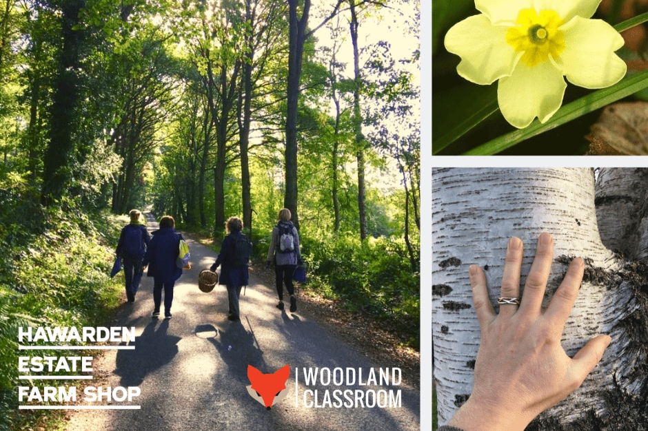 spring-equinox-walk-event-page-thumbnail-2-min-2.jpg