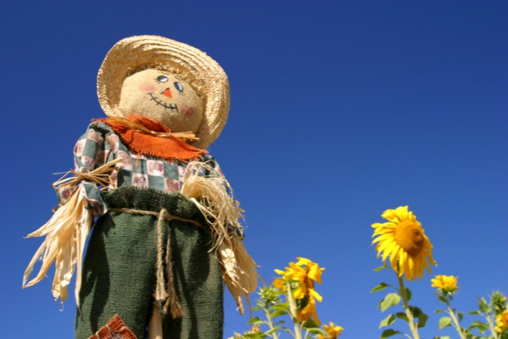 how-to-make-a-scarecrow-for-the-garden-nl-e1465825534260.jpg