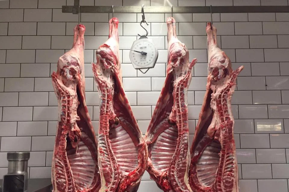 lamb.jpg