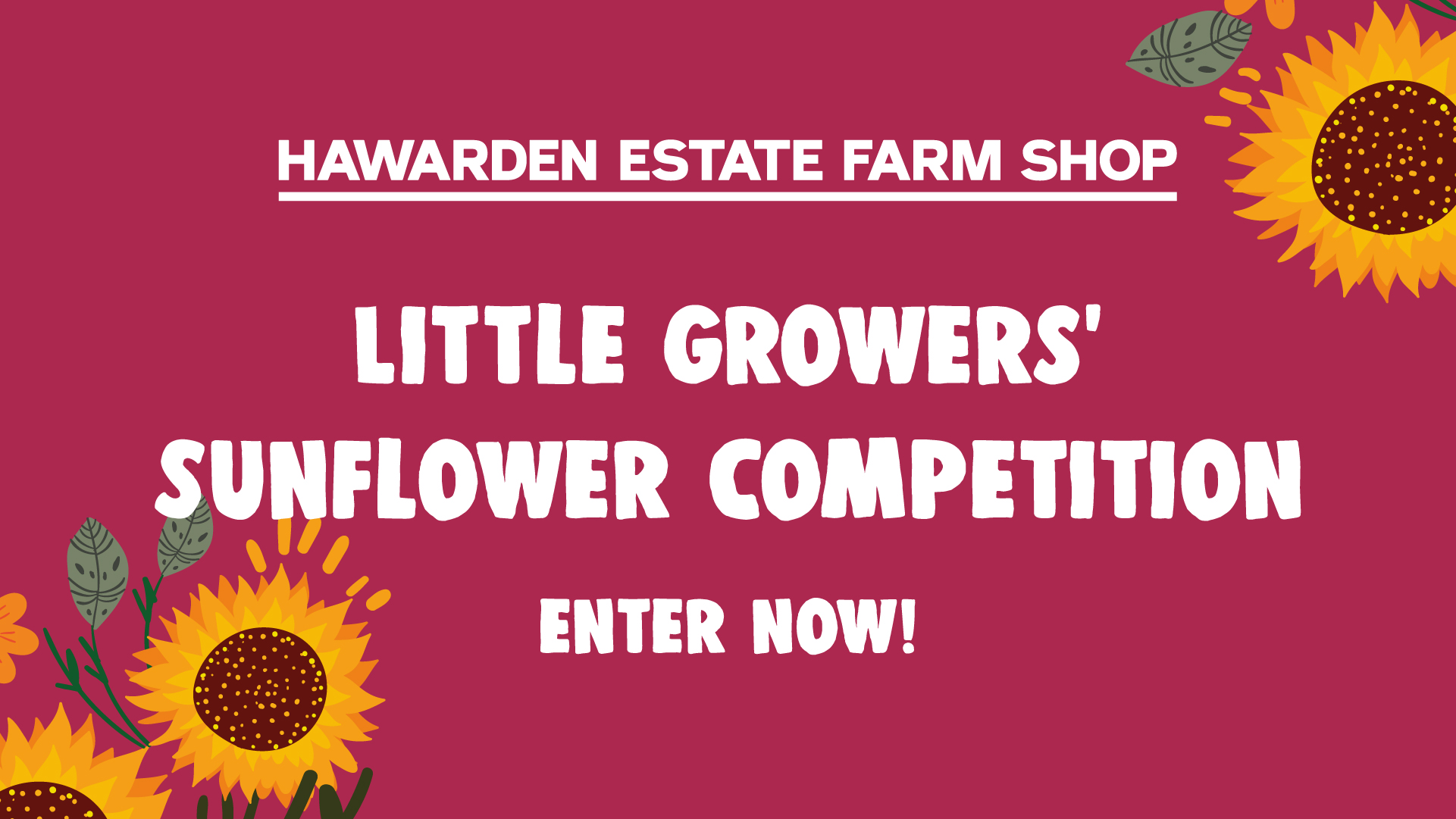 hefs-sunflower_comp-Artboard_1_copy-100.jpg