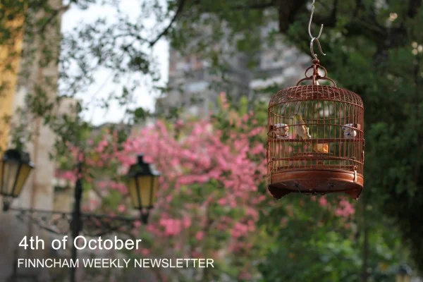 Finncham Hong Kong: Newsletter