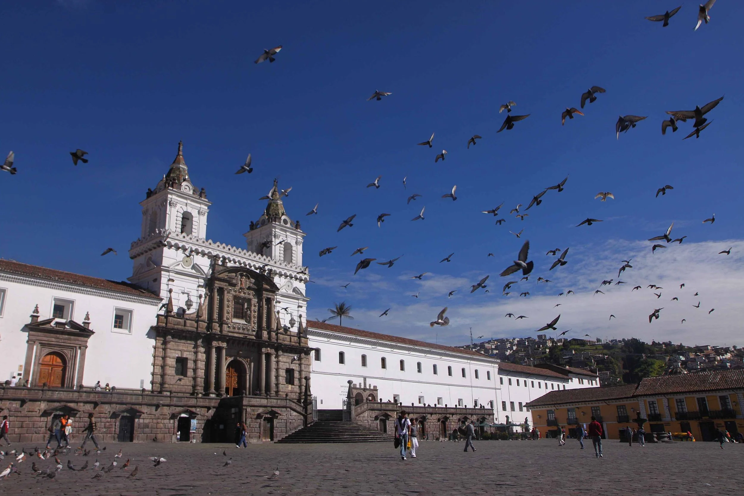 Ecuador V.jpg