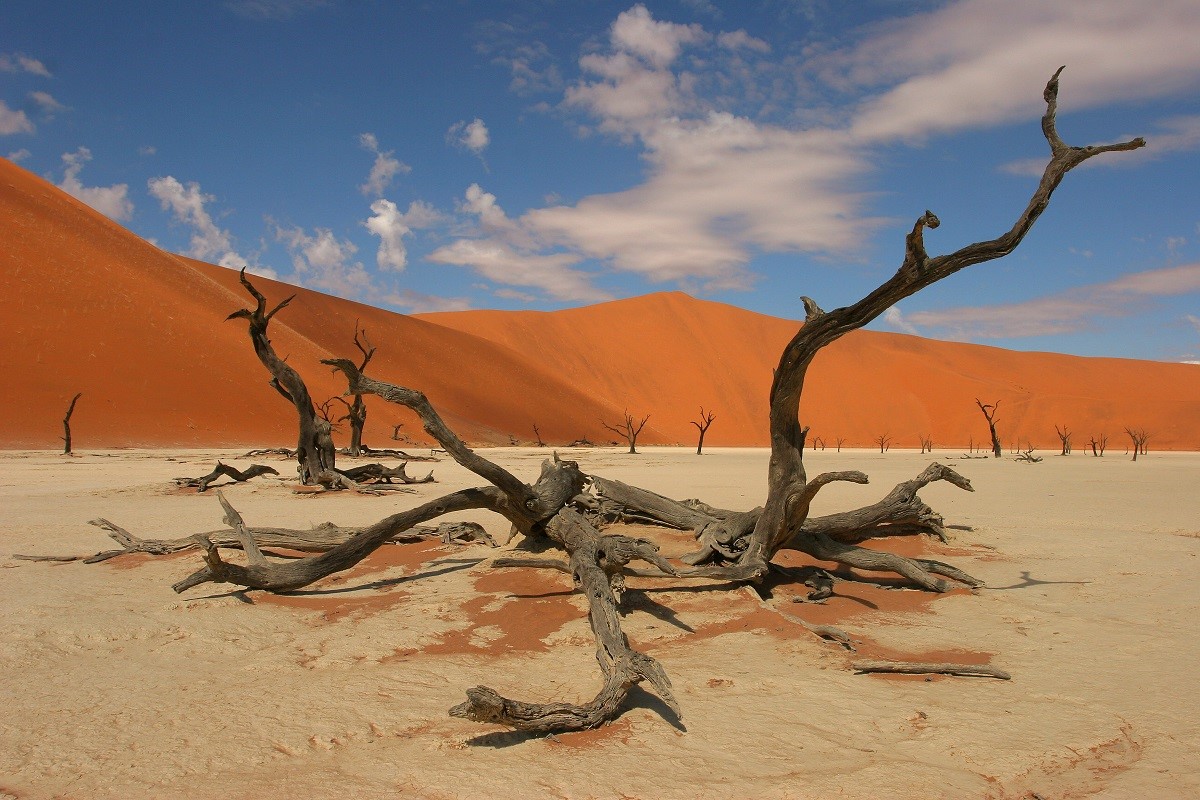 Namibia II.jpg