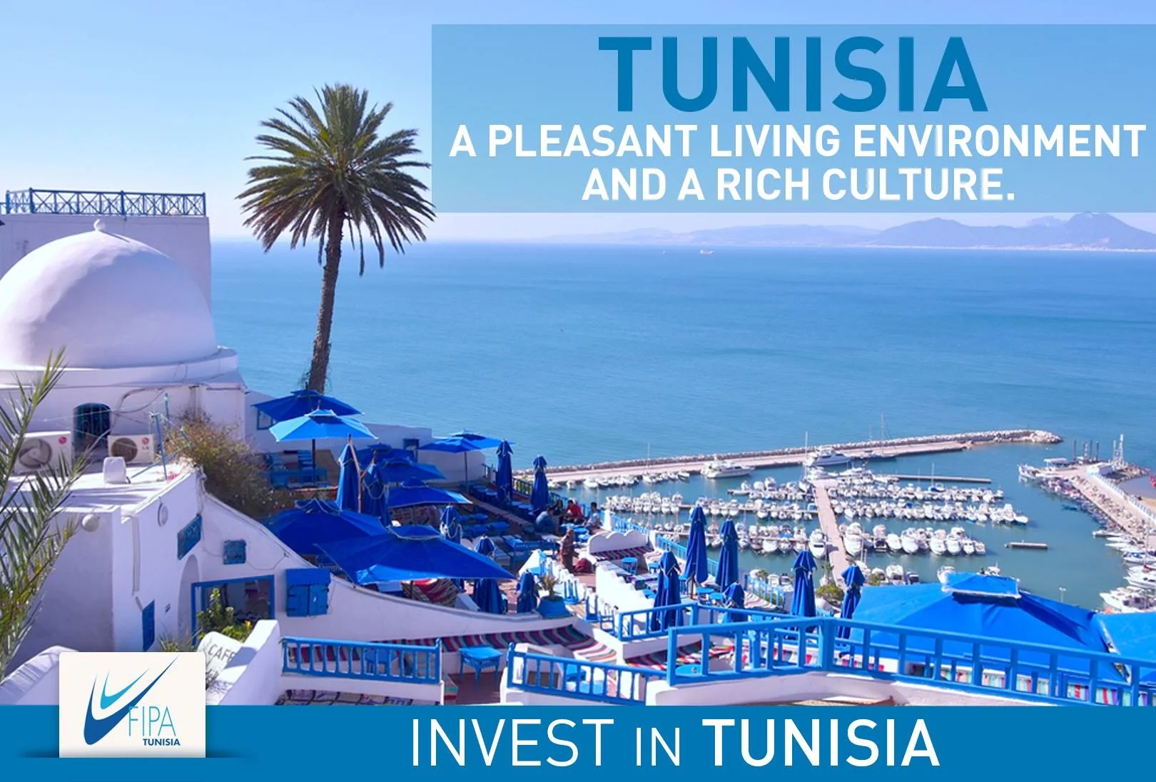 Tunisia II.jpg