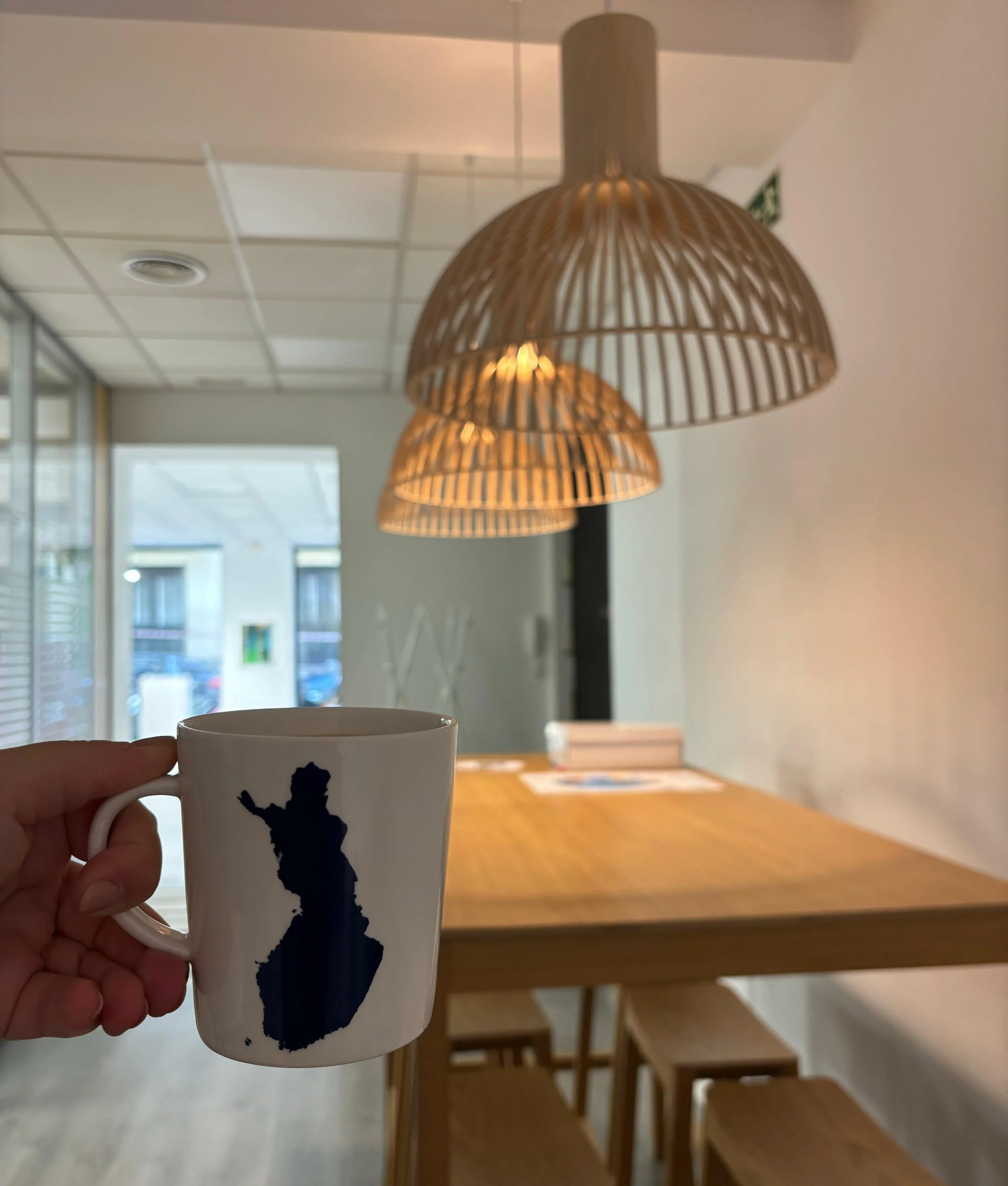 Opportunities for Finnish Companies in Spain