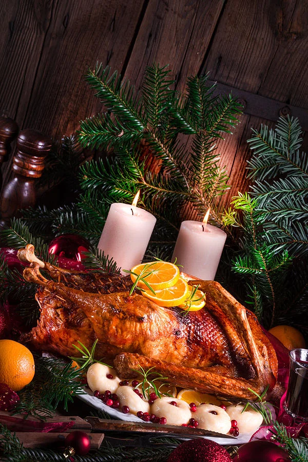1-christmas-duck-darius-dzinnik.jpg