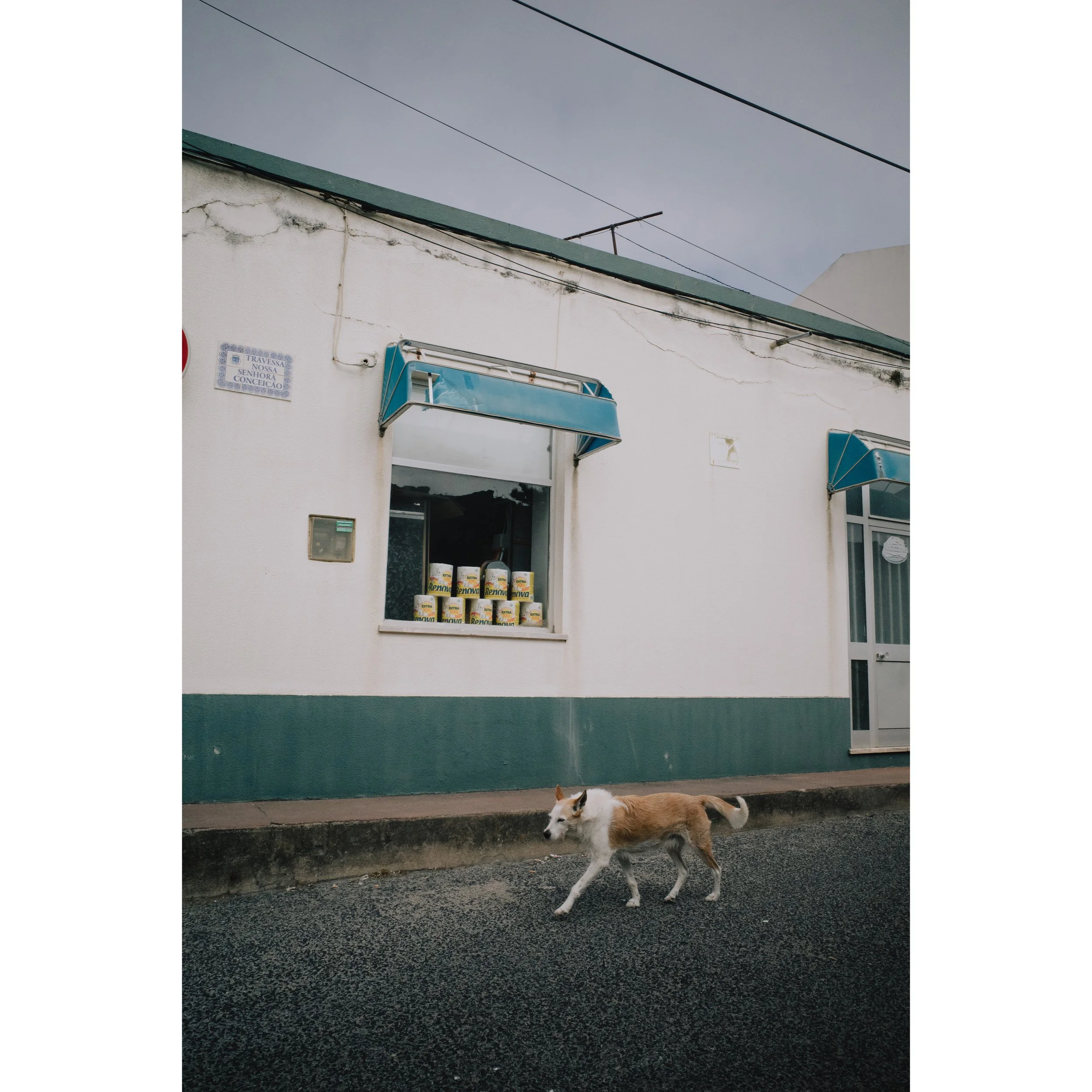 Whitagram-Image 2.JPG