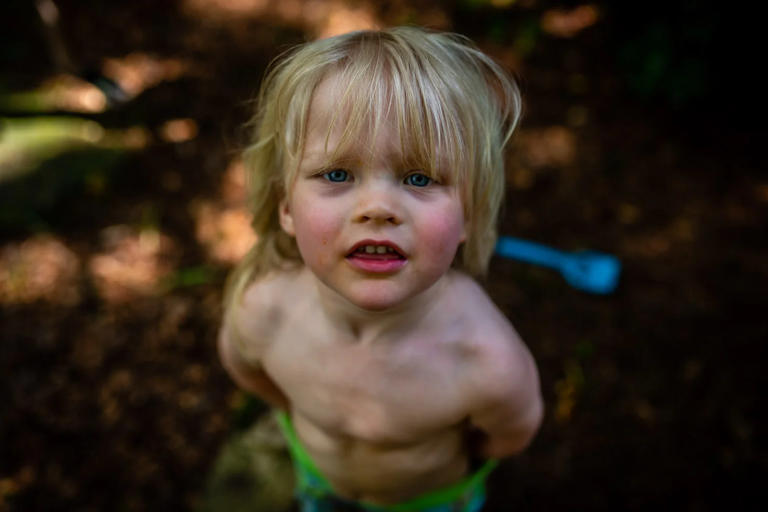A beautiful blonde toddler boy stands in his garden staring up at the camera during this unposed family photography portrait session.