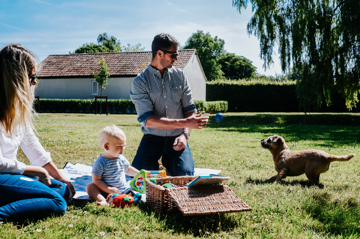  Action shot of father thowing the ball for his dog whilst his wife and baby boy sit on a blanket in the sun during in-home family photography session in Bath. 