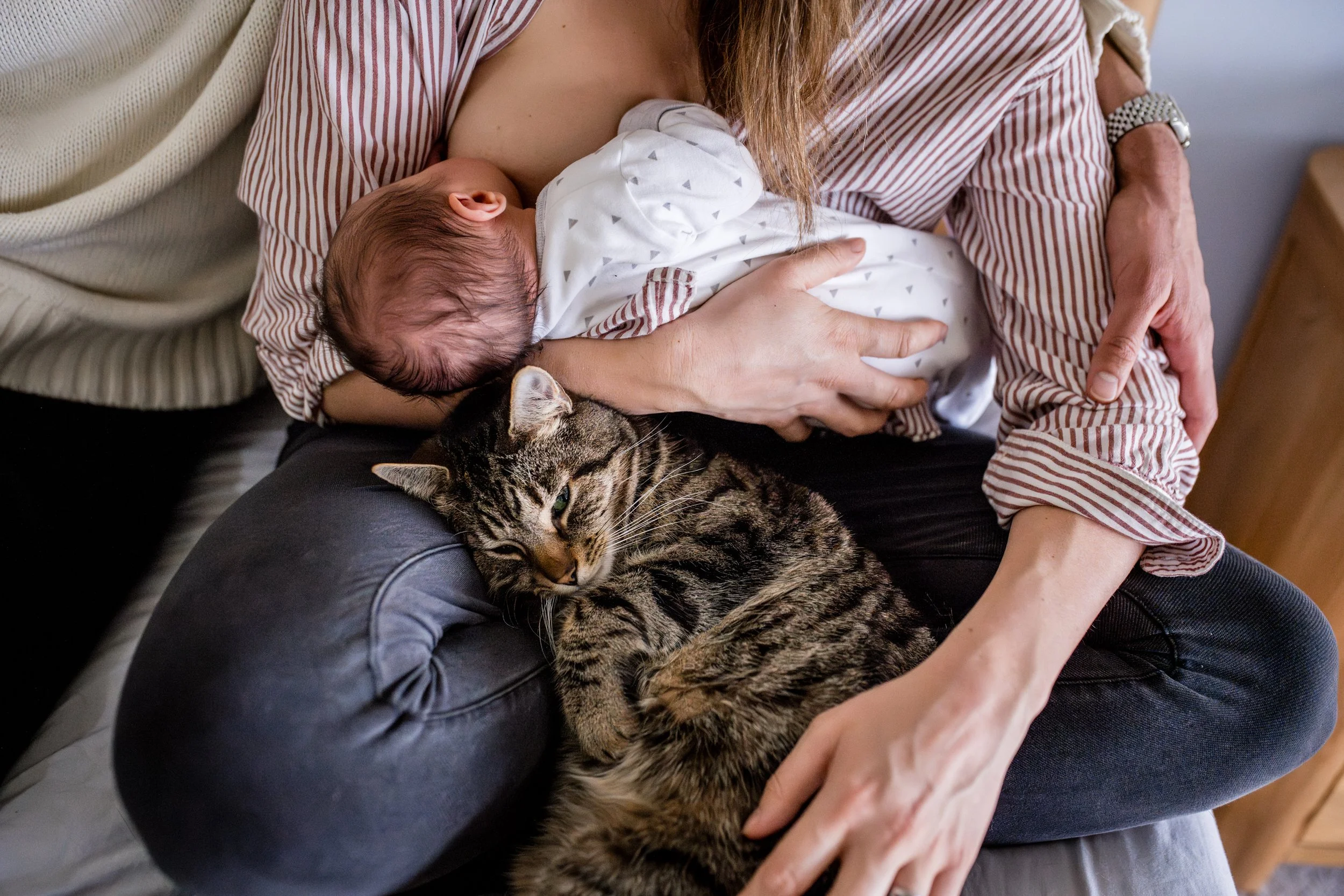 Top-family-photographer-uk.jpg