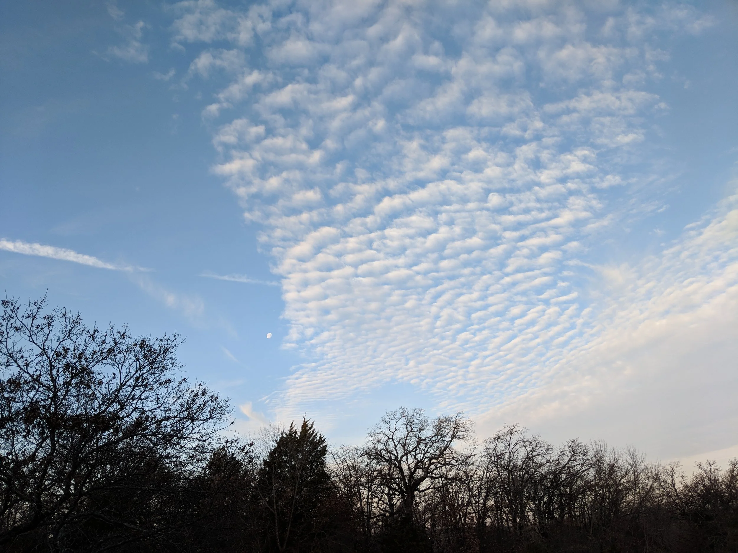 MVIMG_20180203_080327.jpg