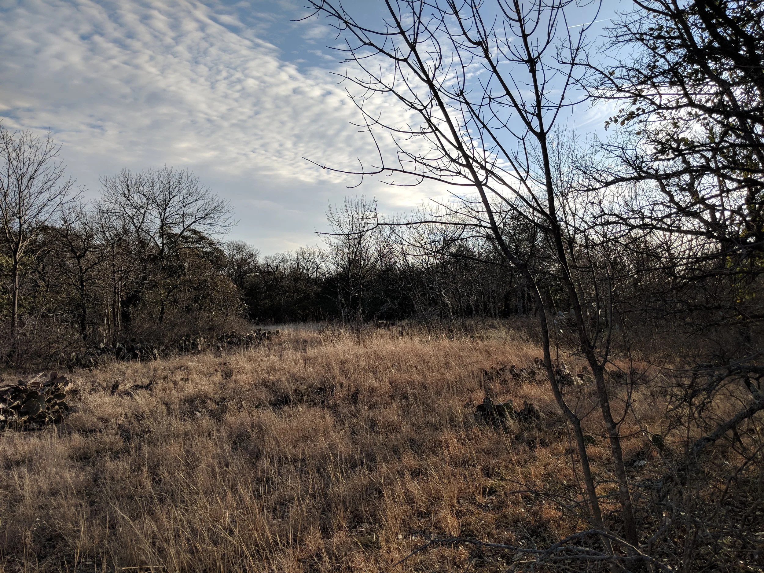MVIMG_20180203_083638.jpg